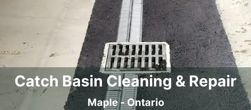  Catch Basin Cleaning & Repair Maple - Ontario
