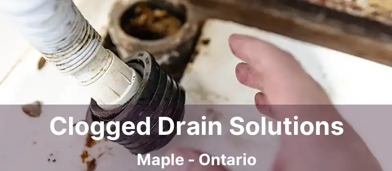  Clogged Drain Solutions Maple - Ontario