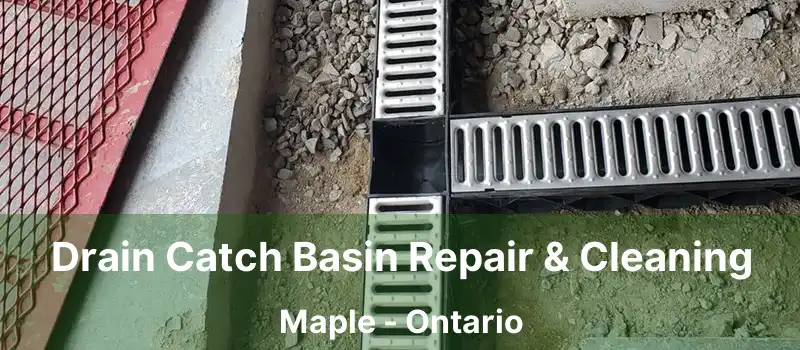  Drain Catch Basin Repair & Cleaning Maple - Ontario