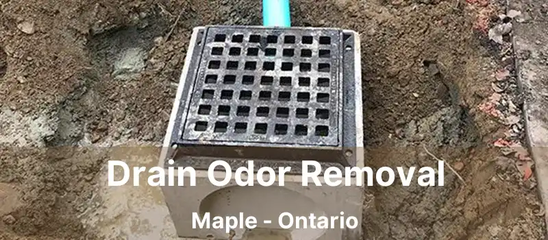  Drain Odor Removal Maple - Ontario