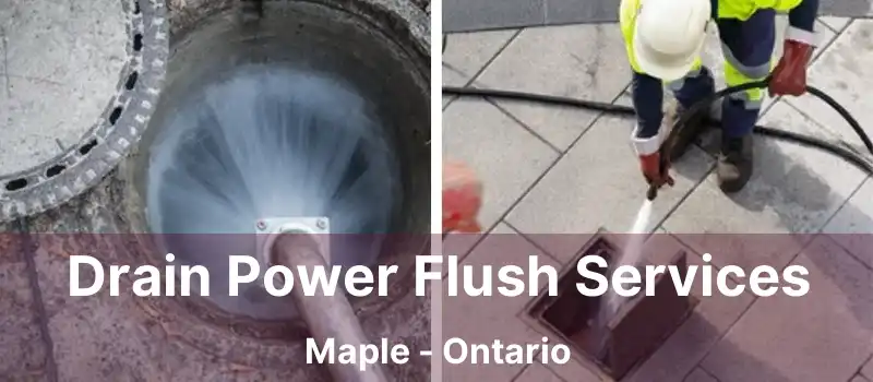  Drain Power Flush Services Maple - Ontario