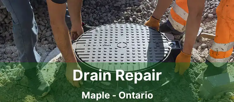  Drain Repair Maple - Ontario