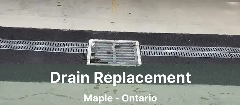  Drain Replacement Maple - Ontario