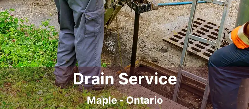  Drain Service Maple - Ontario