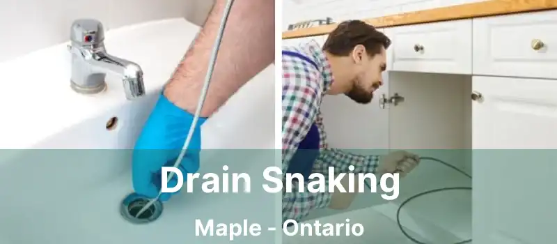  Drain Snaking Maple - Ontario