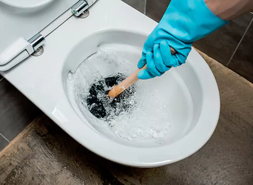 Drain Power Flush Services in Maple, ON