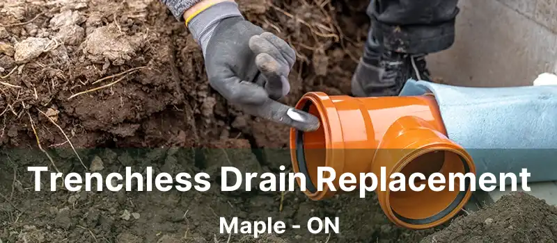  Trenchless Drain Replacement Maple - ON